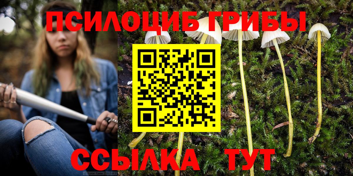 Железногорск  где можно купить   Вход с VPN  Псилоцибиновые грибы GOLDEN TEACHER 