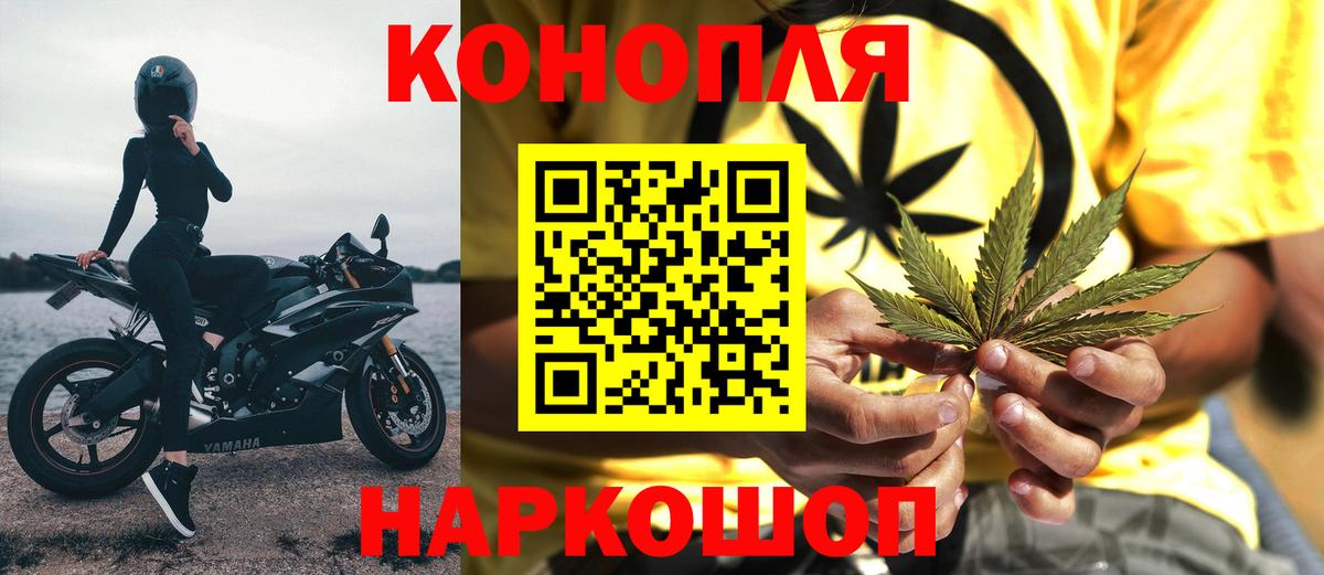Конопля планчик Железногорск